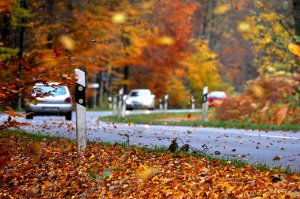 Herbst-Reifen-Profiltiefe-Winterreifen